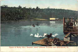 Scene at Rocky Glen, Summer resort between Scranton and Wilkesbarre Postcard