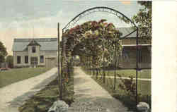Entrance to Strontia Cave Postcard