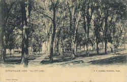 Talcott Park Postcard