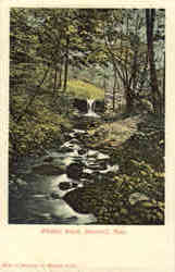 Whittier Brook Postcard