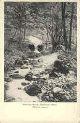 Whittier Brook Postcard