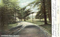 The Pines Postcard