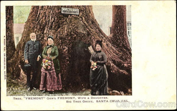 Tree Gem's Fremont Wife & Daughter, Big Tree Grove Santa Cruz California