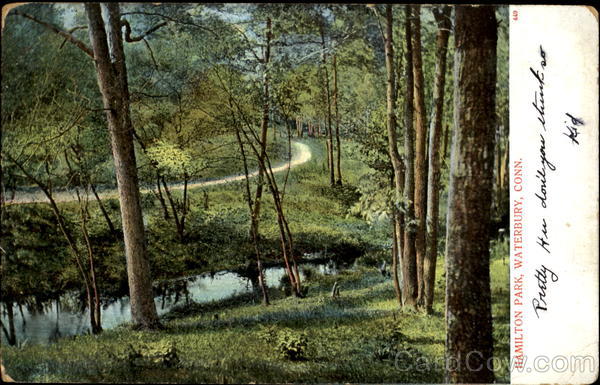 Hamilton Park Waterbury Connecticut