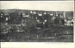 View Of North White Lake Postcard