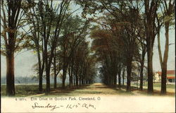 Elm Drive In Gordon Park Postcard