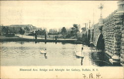 Elmwood Ave Bridge And Albright Art Gallery Postcard