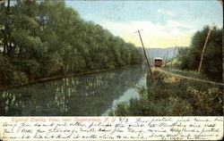 Typical Trolley View Postcard