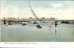Boars Head From Hampton Beach Postcard