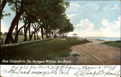 The Farragut Willows Postcard