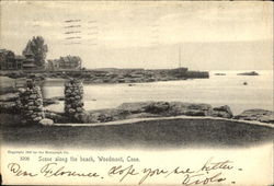 Scene Along The Beach Postcard