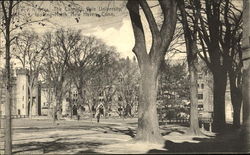 The Campus, Yale University Postcard