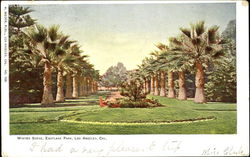 Winter Scene, Eastlake Park Postcard