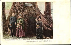 Tree Gem's Fremont Wife & Daughter, Big Tree Grove Santa Cruz, CA Postcard Postcard