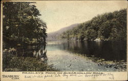 Bradley's Pond On Sugarhollow Road Danbury, CT Postcard Postcard