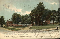 View Of Green Postcard