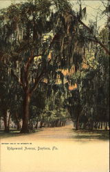 Ridgewood Avenue Postcard