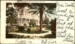The Royal Poinciana Postcard