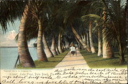 Lake Front Palm Beach, FL Postcard Postcard