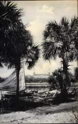 Tampa Bay Hotel Postcard