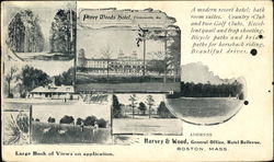 Piney Woods Hotel Piney Woods Hotel