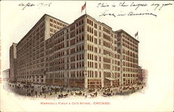 Marshall Field & Co's Store Postcard