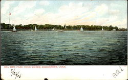 Sea Side Park From Water Postcard