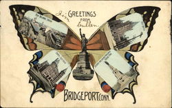 Greetings From Bridgeport Butterfly Postcard