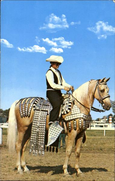 A Palomino Vergennes Vermont