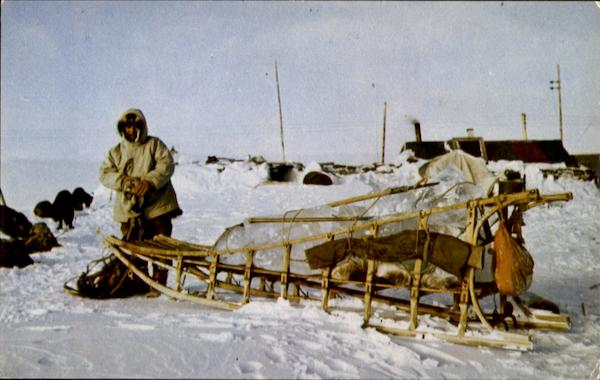 Travel In The Arctic Dogsled Alaska