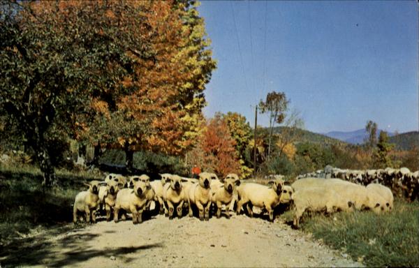 Greetings From Jewett City Connecticut