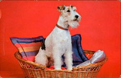 Stock #120751 Thumbnail