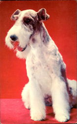 Stock #120752 Thumbnail