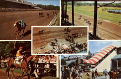 Famous Saratoga Track Postcard