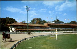 Saratoga Raceway Saratoga Springs, NY Postcard Postcard