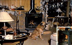 Franklin Stove Postcard