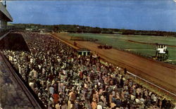 Rockingham Park Postcard