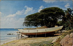 Boat Building At Paget Farm Postcard