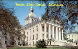 Florida State Capitol Postcard