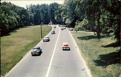 Scene Along Bronx River Parkway, Westcheste County Postcard