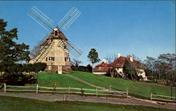 Southampton College, Long Island University Postcard