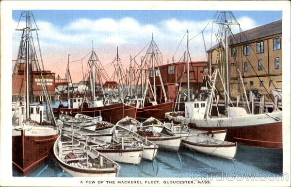 A Few Of The Mackerel Fleet Gloucester Massachusetts