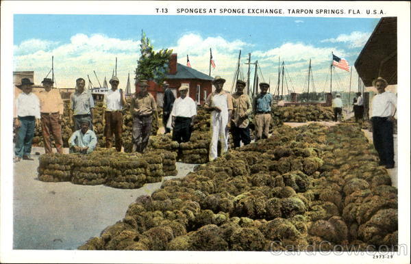 Sponges At Sponge Exchange Tarpon Springs Florida