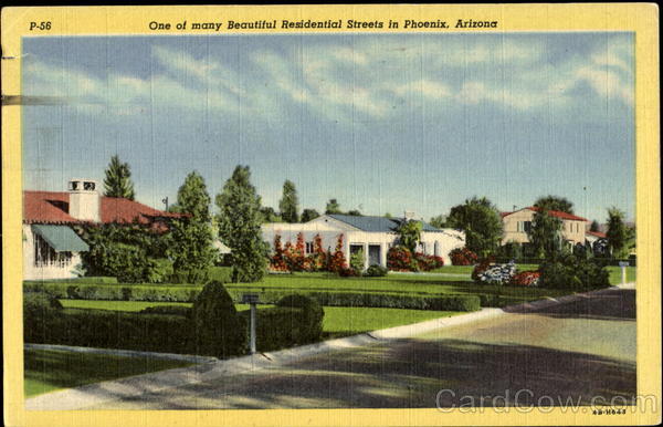 One Of Many Beautiful Residential Streets In Phoenix Arizona