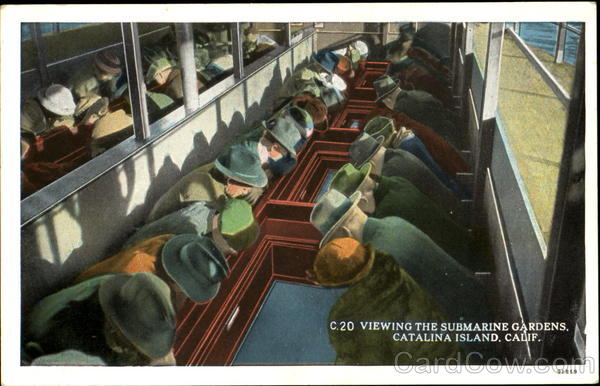 Viewing The Submarine Gardens Santa Catalina Island California