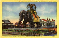 Elephant Hotel Postcard