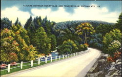 A Scene Between Henryville And Tannersville, Poconos Pennsylvania Postcard Postcard