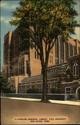 Sterling Memorial Library, Yale University New Haven, CT Postcard Postcard