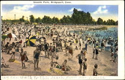 Seaside Park Bridgeport, CT Postcard Postcard