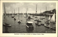 Sportsmen Of The Sea At Anchor In Rockport Harbor Massachusetts Postcard Postcard